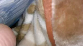 Cam jinis karo bayek panas lan creampie