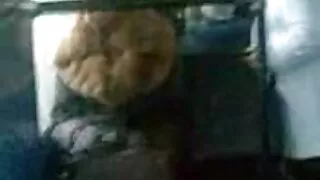 Kisses lan jinis karo gendakan panas