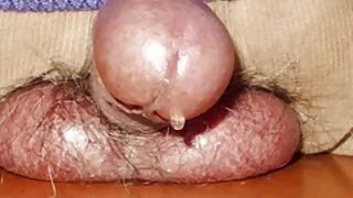 Butt plug lan jinis